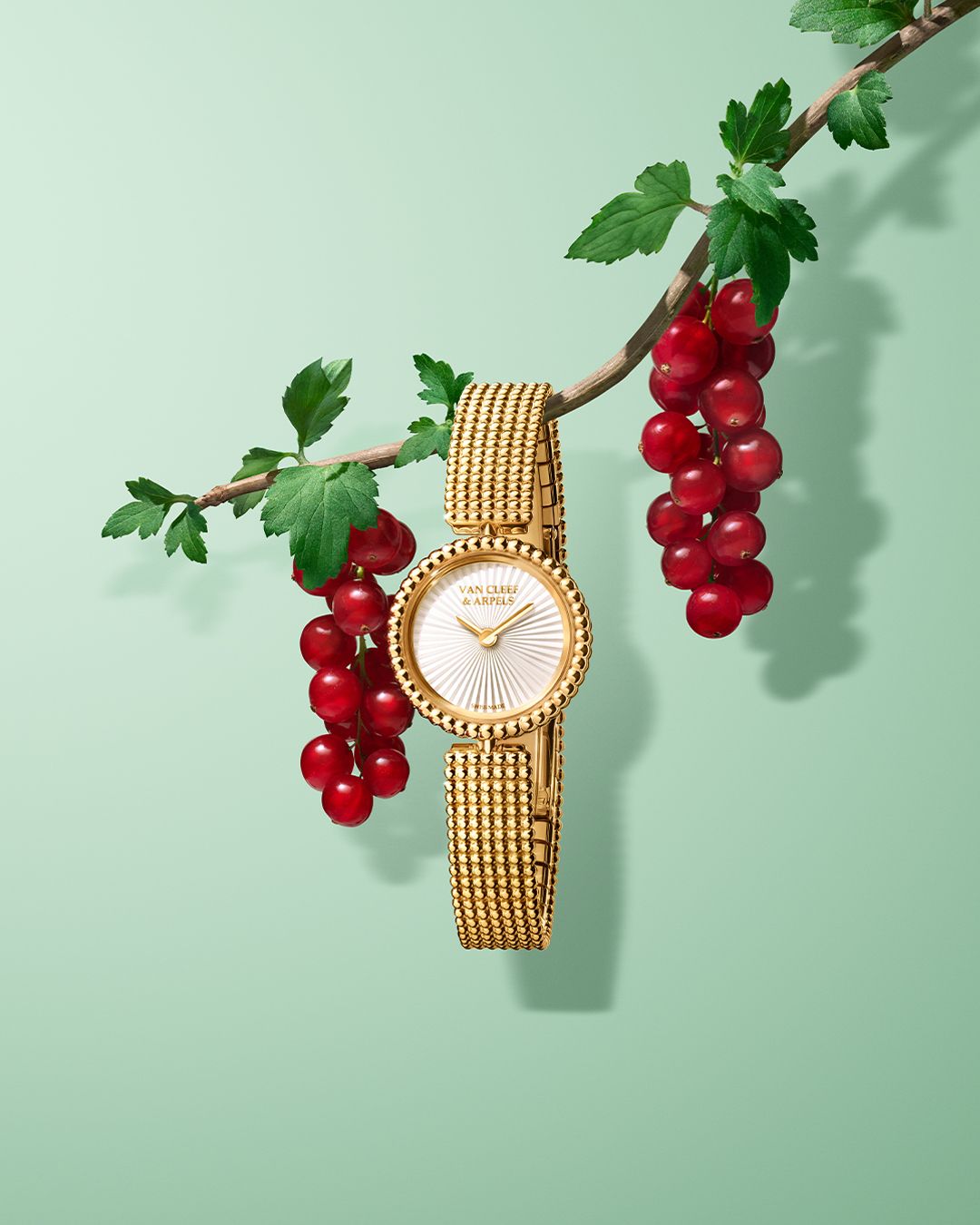 Time adorned with golden brilliance ☀️⁣
⁣
Encircling its elegant dial, the golden beads of the Perlée watch in luminous yellow gold bestow a delicate glow, transforming each passing moment into a precious occasion. ⁣
⁣
 #VCAPerlee #VanCleefArpels